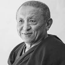 Photo Of Chökyi Nyima Rinpoche 